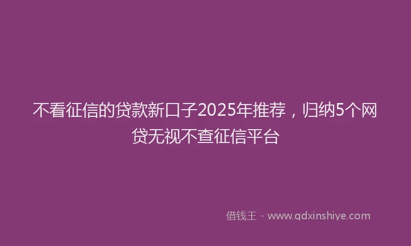 不看征信的贷款新口子2025年推荐，归纳5个网贷无视不查征信平台