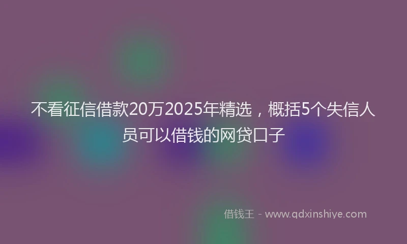 不看征信借款20万2025年精选，概括5个失信人员可以借钱的网贷口子