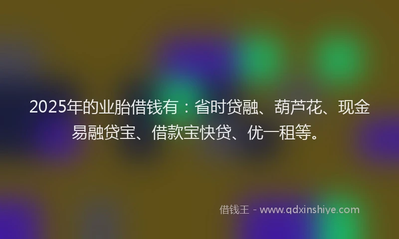 2025年的业胎借钱有：省时贷融、葫芦花、现金易融贷宝、借款宝快贷、优一租等。