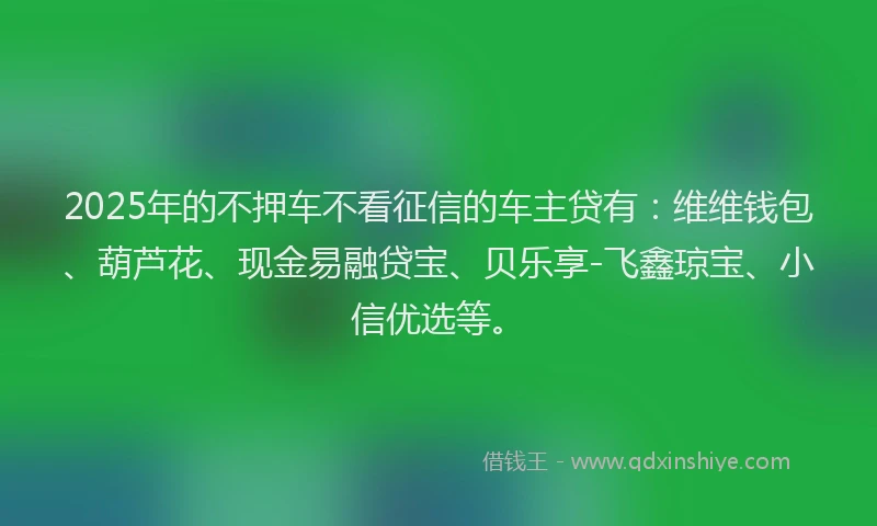 2025年的不押车不看征信的车主贷有：维维钱包、葫芦花、现金易融贷宝、贝乐享-飞鑫琼宝、小信优选等。