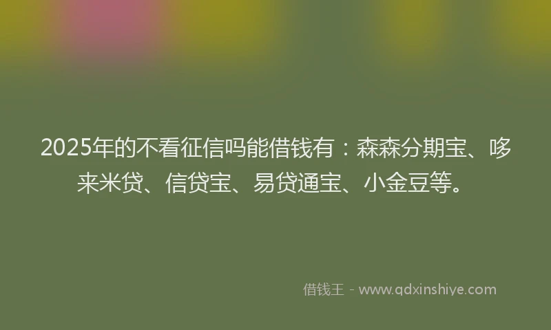 2025年的不看征信吗能借钱有：森森分期宝、哆来米贷、信贷宝、易贷通宝、小金豆等。