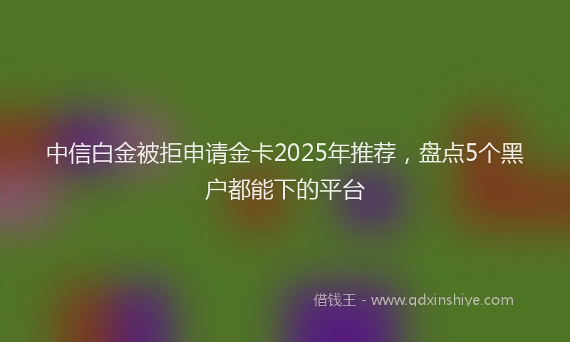 中信白金被拒申请金卡2025年推荐，盘点5个黑户都能下的平台