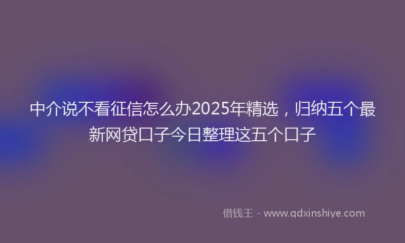 中介说不看征信怎么办2025年精选，归纳五个最新网贷口子今日整理这五个口子