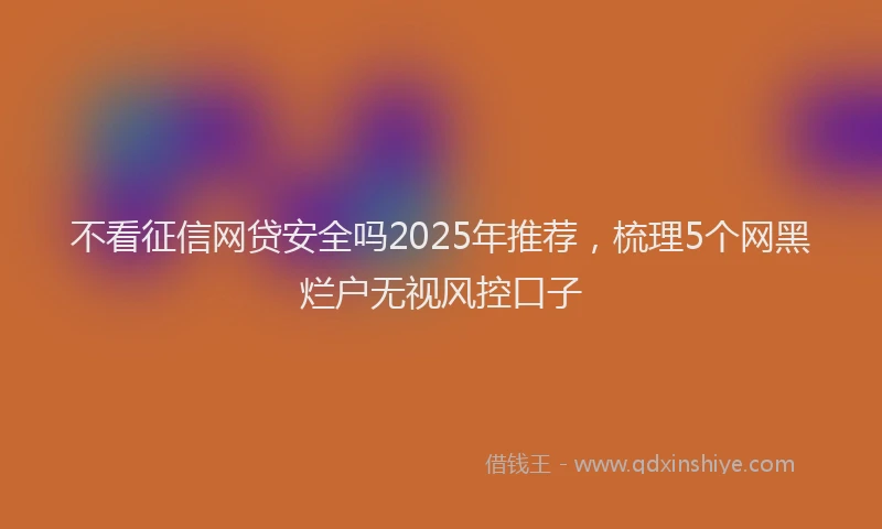 不看征信网贷安全吗2025年推荐，梳理5个网黑烂户无视风控口子