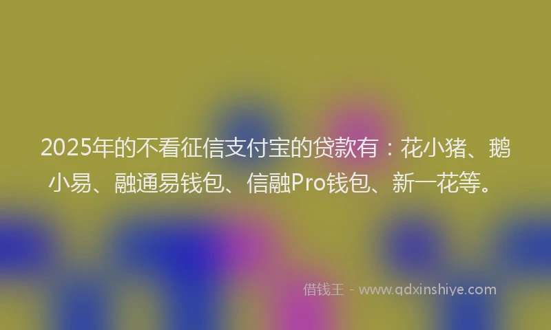 2025年的不看征信支付宝的贷款有：花小猪、鹅小易、融通易钱包、信融Pro钱包、新一花等。
