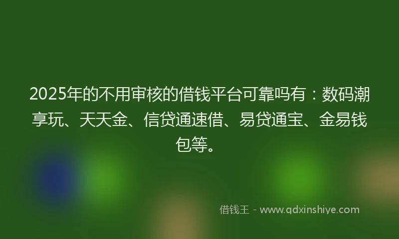 2025年的不用审核的借钱平台可靠吗有：数码潮享玩、天天金、信贷通速借、易贷通宝、金易钱包等。