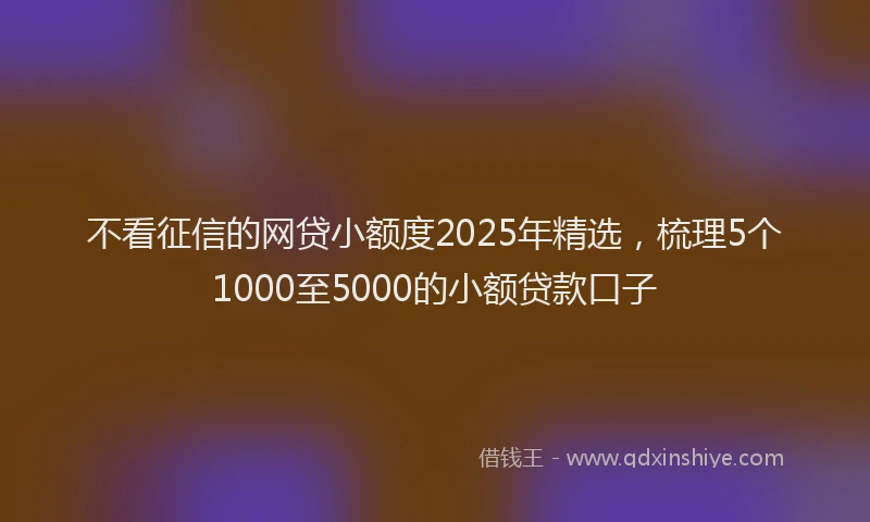 不看征信的网贷小额度2025年精选，梳理5个1000至5000的小额贷款口子