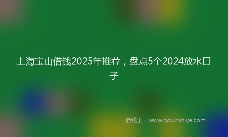 上海宝山借钱2025年推荐，盘点5个2024放水口子