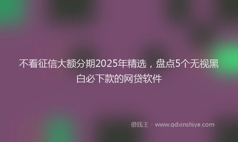 不看征信大额分期2025年精选，盘点5个无视黑白必下款的网贷软件