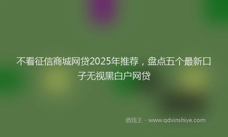 不看征信商城网贷2025年推荐，盘点五个最新口子无视黑白户网贷
