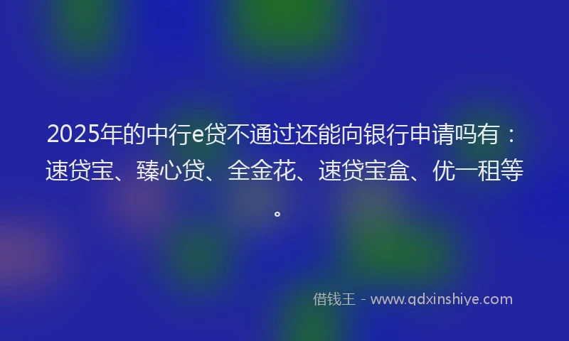 2025年的中行e贷不通过还能向银行申请吗有：速贷宝、臻心贷、全金花、速贷宝盒、优一租等。