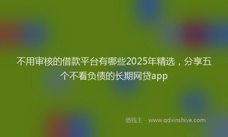 不用审核的借款平台有哪些2025年精选，分享五个不看负债的长期网贷app