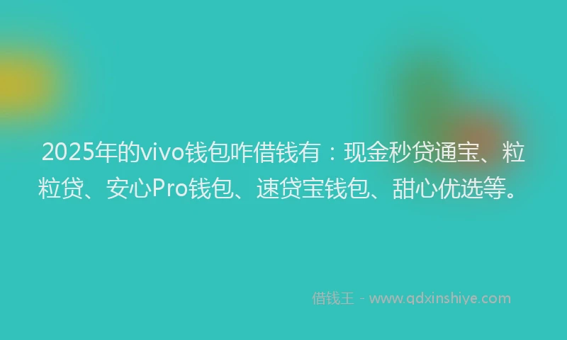2025年的vivo钱包咋借钱有：现金秒贷通宝、粒粒贷、安心Pro钱包、速贷宝钱包、甜心优选等。