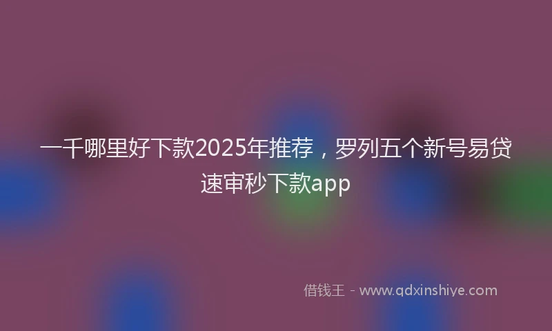 一千哪里好下款2025年推荐，罗列五个新号易贷速审秒下款app