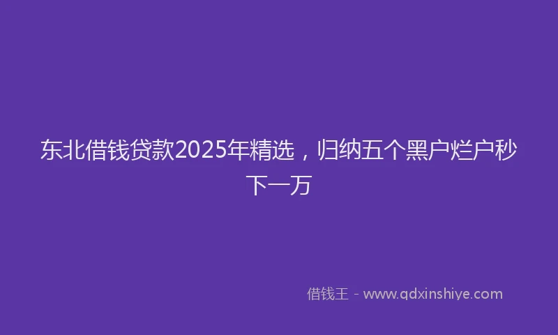东北借钱贷款2025年精选，归纳五个黑户烂户秒下一万