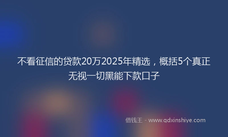 不看征信的贷款20万2025年精选，概括5个真正无视一切黑能下款口子