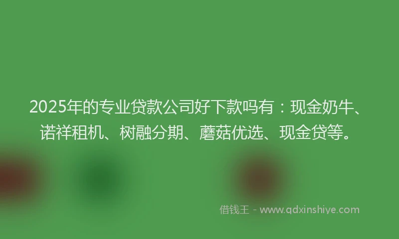 2025年的专业贷款公司好下款吗有：现金奶牛、诺祥租机、树融分期、蘑菇优选、现金贷等。
