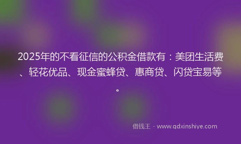 2025年的不看征信的公积金借款有：美团生活费、轻花优品、现金蜜蜂贷、惠商贷、闪贷宝易等。