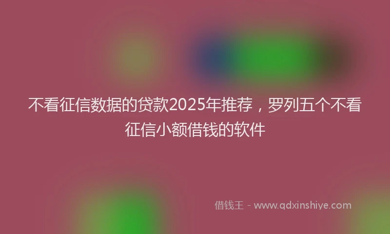 不看征信数据的贷款2025年推荐，罗列五个不看征信小额借钱的软件