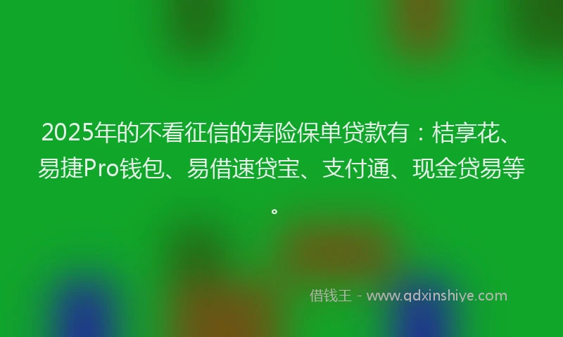 2025年的不看征信的寿险保单贷款有：桔享花、易捷Pro钱包、易借速贷宝、支付通、现金贷易等。