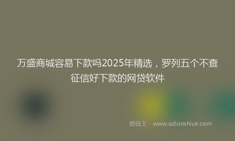 万盛商城容易下款吗2025年精选，罗列五个不查征信好下款的网贷软件