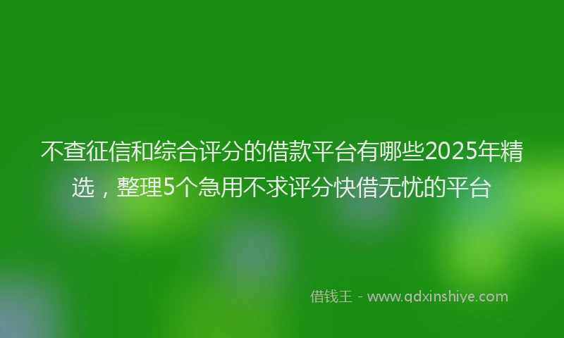 不查征信和综合评分的借款平台有哪些2025年精选，整理5个急用不求评分快借无忧的平台