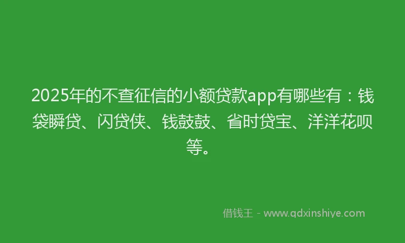 2025年的不查征信的小额贷款app有哪些有：钱袋瞬贷、闪贷侠、钱鼓鼓、省时贷宝、洋洋花呗等。