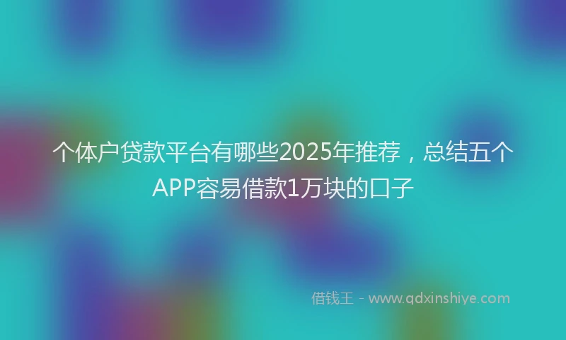 个体户贷款平台有哪些2025年推荐，总结五个APP容易借款1万块的口子
