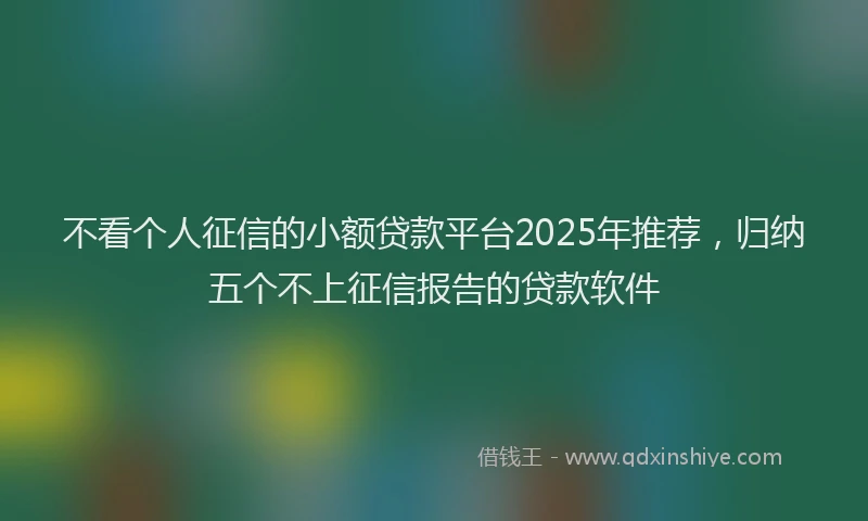不看个人征信的小额贷款平台2025年推荐，归纳五个不上征信报告的贷款软件