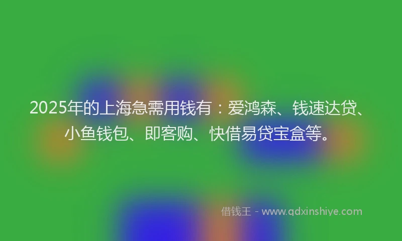 2025年的上海急需用钱有：爱鸿森、钱速达贷、小鱼钱包、即客购、快借易贷宝盒等。