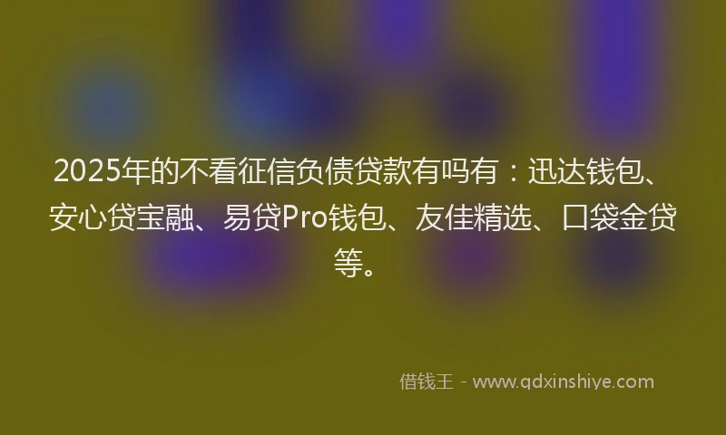 2025年的不看征信负债贷款有吗有：迅达钱包、安心贷宝融、易贷Pro钱包、友佳精选、口袋金贷等。