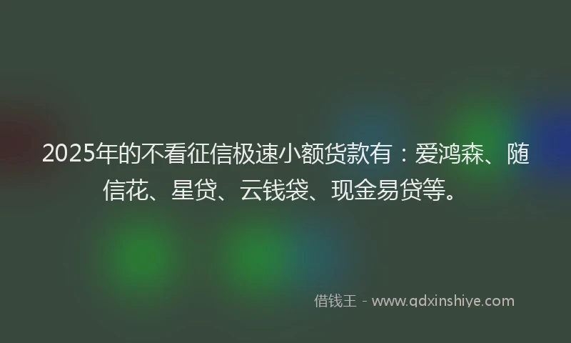 2025年的不看征信极速小额货款有：爱鸿森、随信花、星贷、云钱袋、现金易贷等。