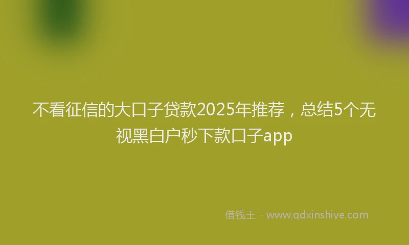 不看征信的大口子贷款2025年推荐，总结5个无视黑白户秒下款口子app