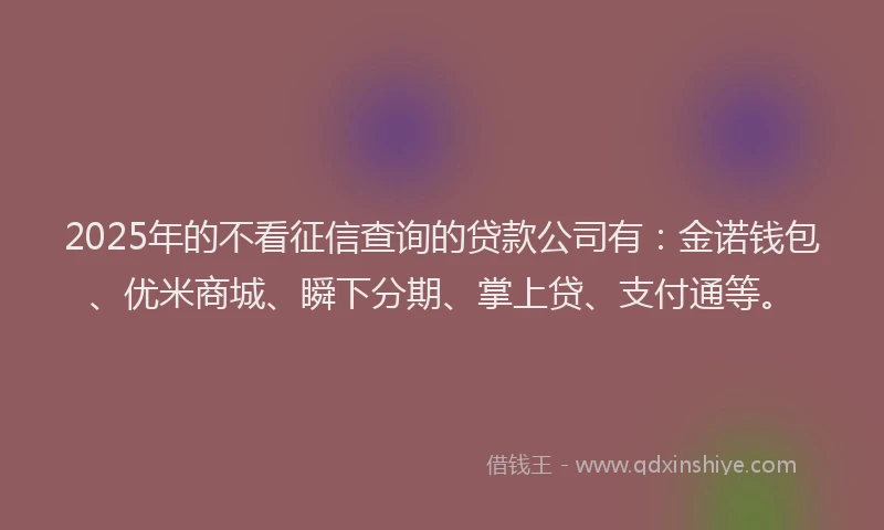 2025年的不看征信查询的贷款公司有：金诺钱包、优米商城、瞬下分期、掌上贷、支付通等。