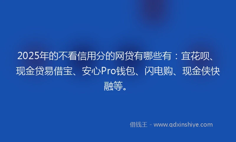 2025年的不看信用分的网贷有哪些有：宜花呗、现金贷易借宝、安心Pro钱包、闪电购、现金侠快融等。