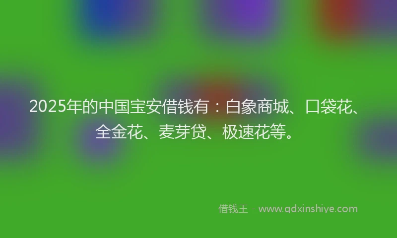 2025年的中国宝安借钱有：白象商城、口袋花、全金花、麦芽贷、极速花等。