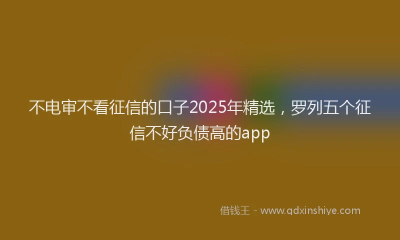 不电审不看征信的口子2025年精选，罗列五个征信不好负债高的app