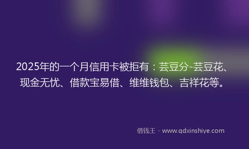 2025年的一个月信用卡被拒有：芸豆分-芸豆花、现金无忧、借款宝易借、维维钱包、吉祥花等。