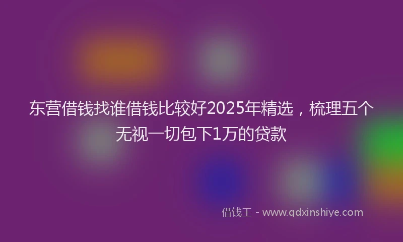 东营借钱找谁借钱比较好2025年精选，梳理五个无视一切包下1万的贷款