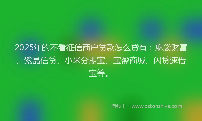 2025年的不看征信商户贷款怎么贷有：麻袋财富、紫晶信贷、小米分期宝、宝盈商城、闪贷速借宝等。