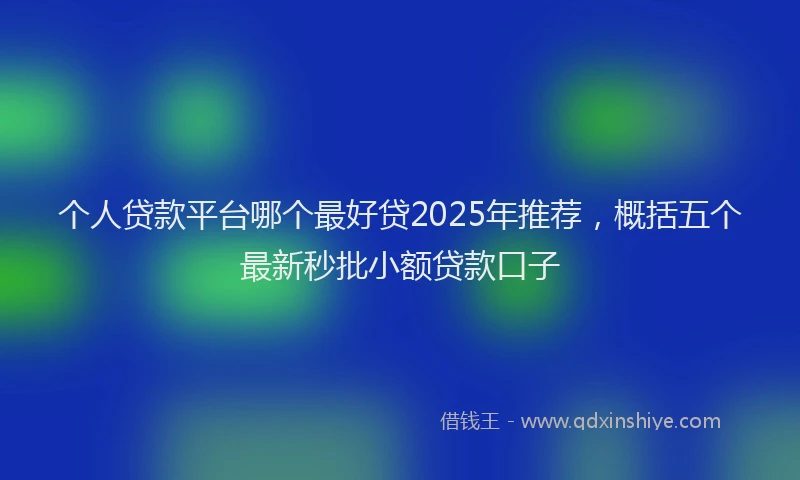 个人贷款平台哪个最好贷2025年推荐，概括五个最新秒批小额贷款口子