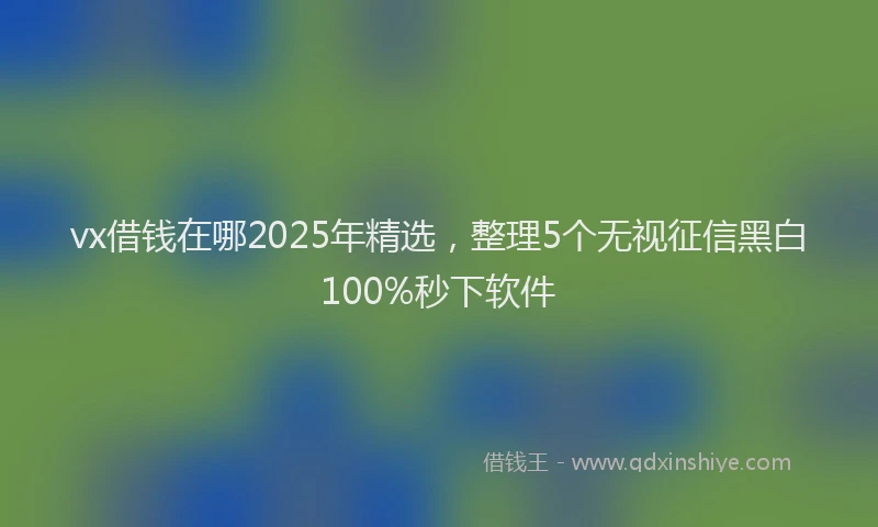 vx借钱在哪2025年精选，整理5个无视征信黑白100%秒下软件