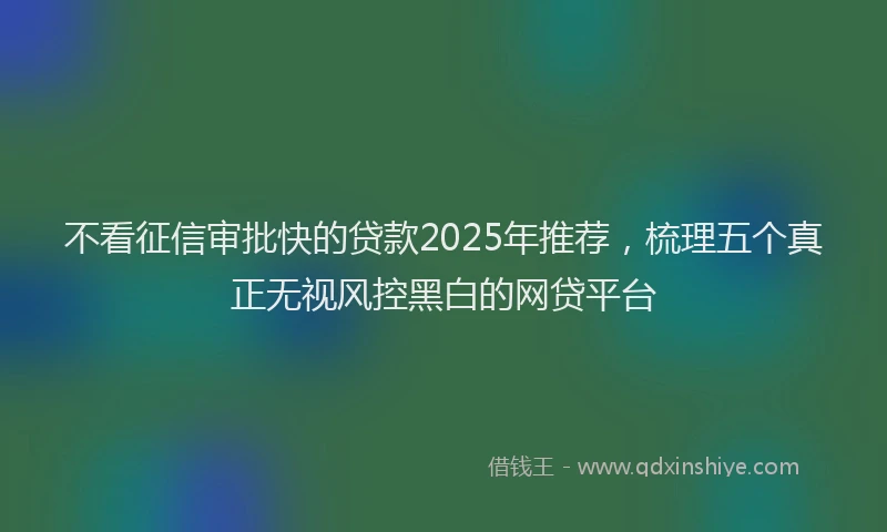 不看征信审批快的贷款2025年推荐，梳理五个真正无视风控黑白的网贷平台