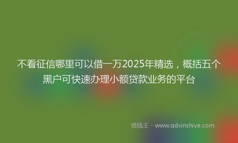 不看征信哪里可以借一万2025年精选，概括五个黑户可快速办理小额贷款业务的平台