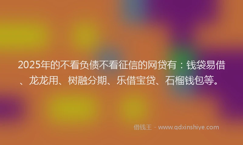 2025年的不看负债不看征信的网贷有：钱袋易借、龙龙用、树融分期、乐借宝贷、石榴钱包等。