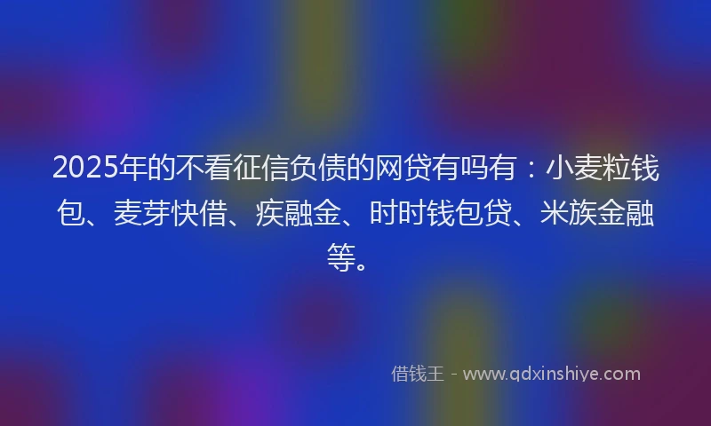 2025年的不看征信负债的网贷有吗有：小麦粒钱包、麦芽快借、疾融金、时时钱包贷、米族金融等。