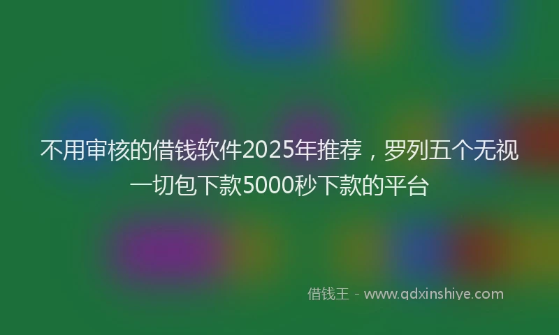 不用审核的借钱软件2025年推荐，罗列五个无视一切包下款5000秒下款的平台