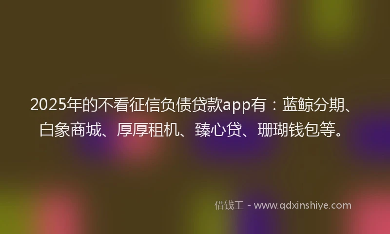2025年的不看征信负债贷款app有：蓝鲸分期、白象商城、厚厚租机、臻心贷、珊瑚钱包等。