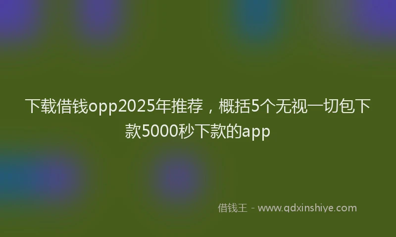 下载借钱opp2025年推荐，概括5个无视一切包下款5000秒下款的app