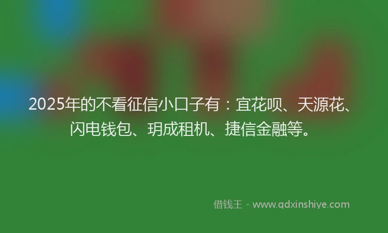2025年的不看征信小口子有：宜花呗、天源花、闪电钱包、玥成租机、捷信金融等。